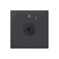 Pulsante rotativo INC SIDUS E 1CL SS antracite