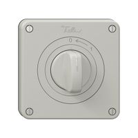Schwenktaster NEVO N.CO mit Drehgriff, KS, 0 <- 1, lichtgrau