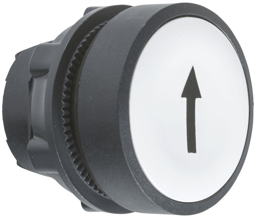 Poussoir Schneider Electric plat noir/blanc