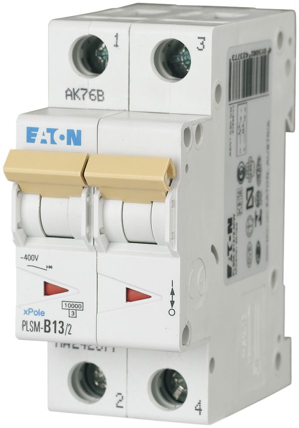 Disjoncteur PLSM-C13 2L