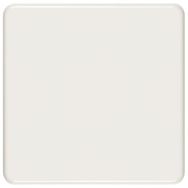 Abdeckplatte III blind weiss