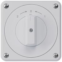 UP-Schwenktaster robusto IP55 grau Wechsler