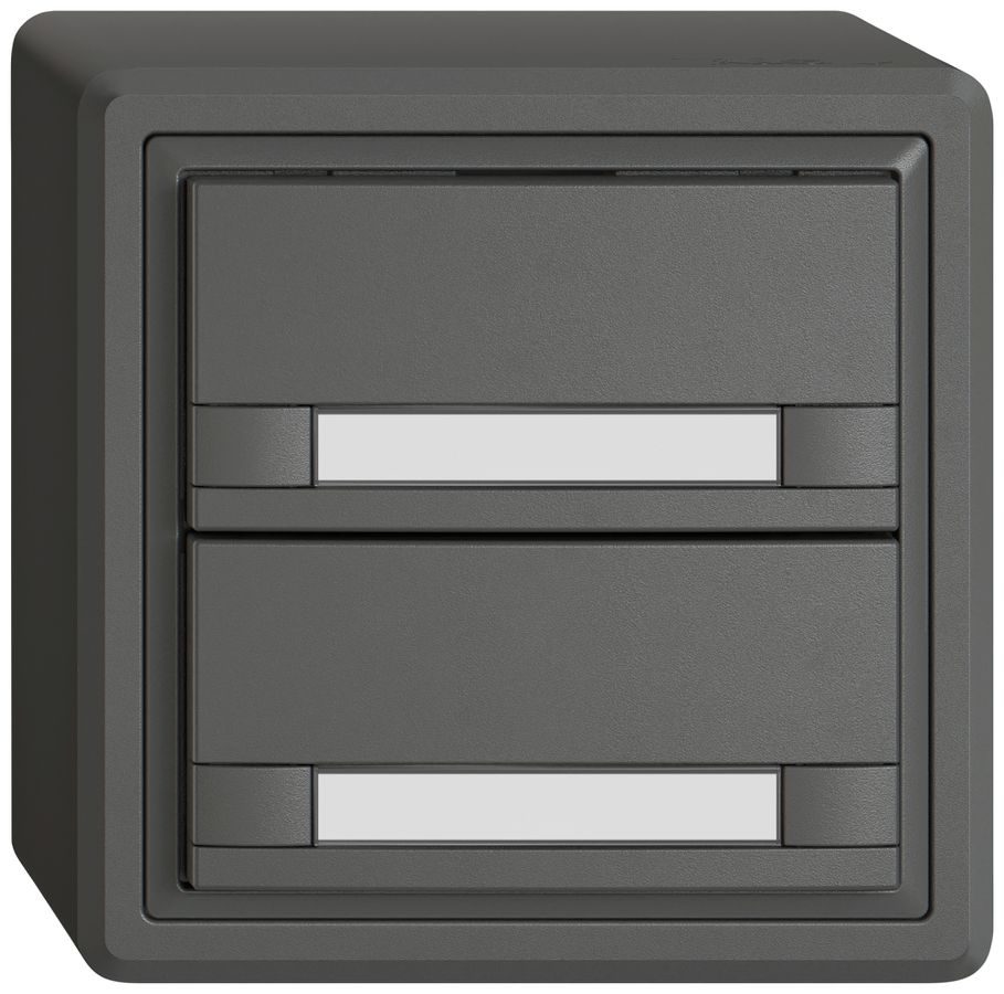 Pulsante universale AP EDIZIO.liv UNI SNAPFIX® s.LED 2× com.2T targ.grs