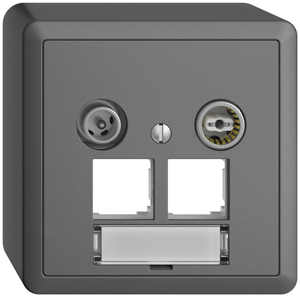 AP-Multimediadose EDIZIOdue FX.54 EASYNET 4dB, f.2×RJ45 S-One, dunkelgrau