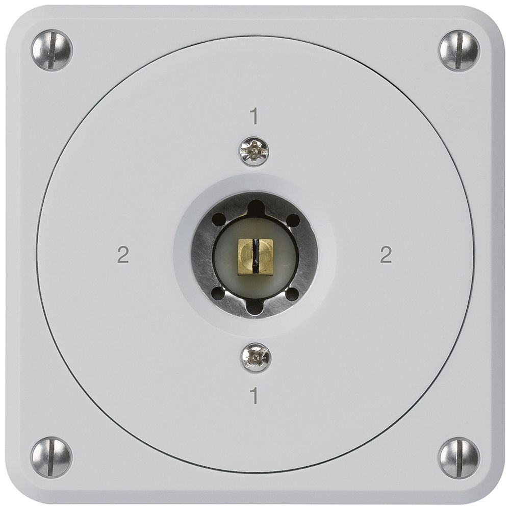 Interrupteur à clé carrée ENC robusto sans clapet 3/1P gris combi