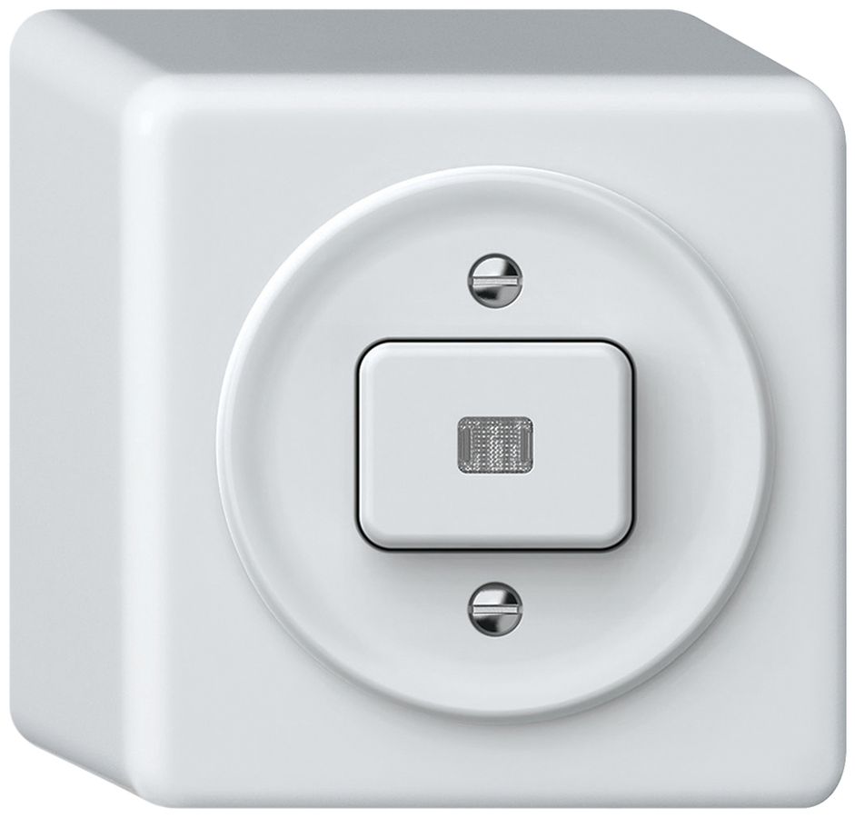 AP-Leuchtdrucktaster origin 1×Taste bel.1CO 1P 0<1 10A 230V 88×88×54mm weiss