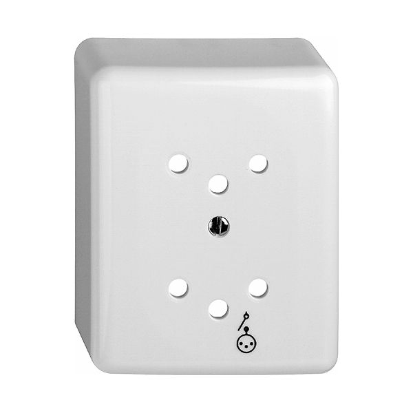 Capot AP FH pour 2×T12 blanc