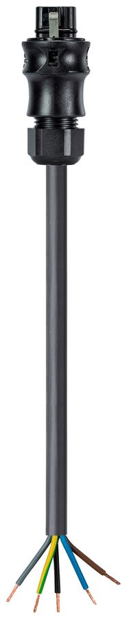 Anschlussleitung Wieland Electric RST25i5 5P 2.5mm² 400V/20A 2000mm
