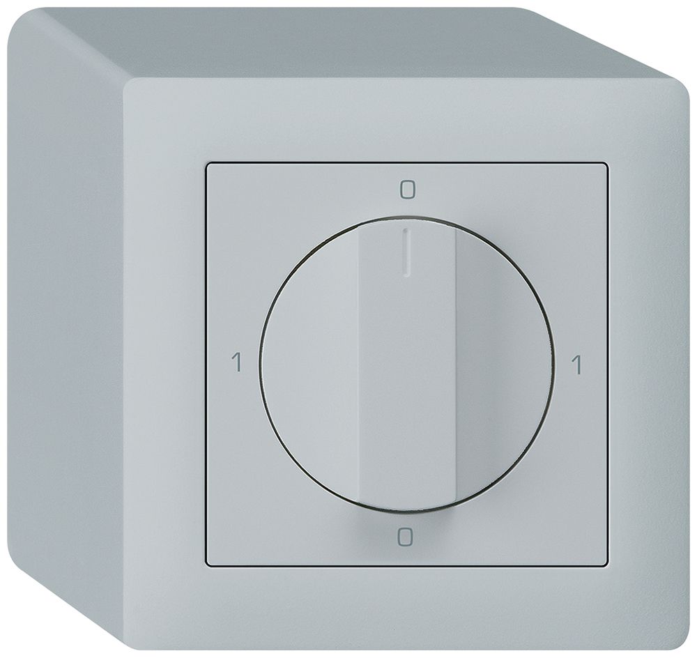 Interrupteur rotatif AP kallysto 1/1L gris clair avec manette