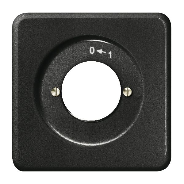 UP-Frontset 0-1 schwarz, für Schlüsselschwenktaster FH