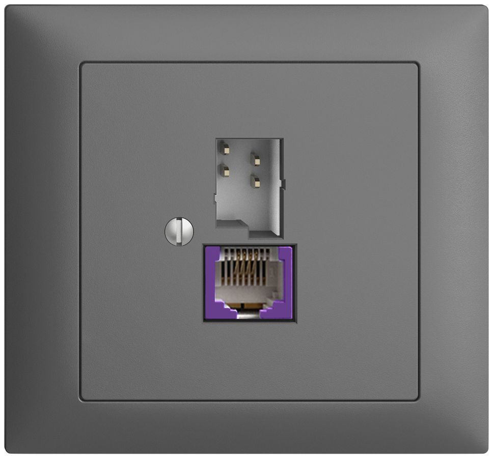 EB-Dose T+T 6P/1×R45 DSL-Breitband EDIZIOdue dunkelgrau