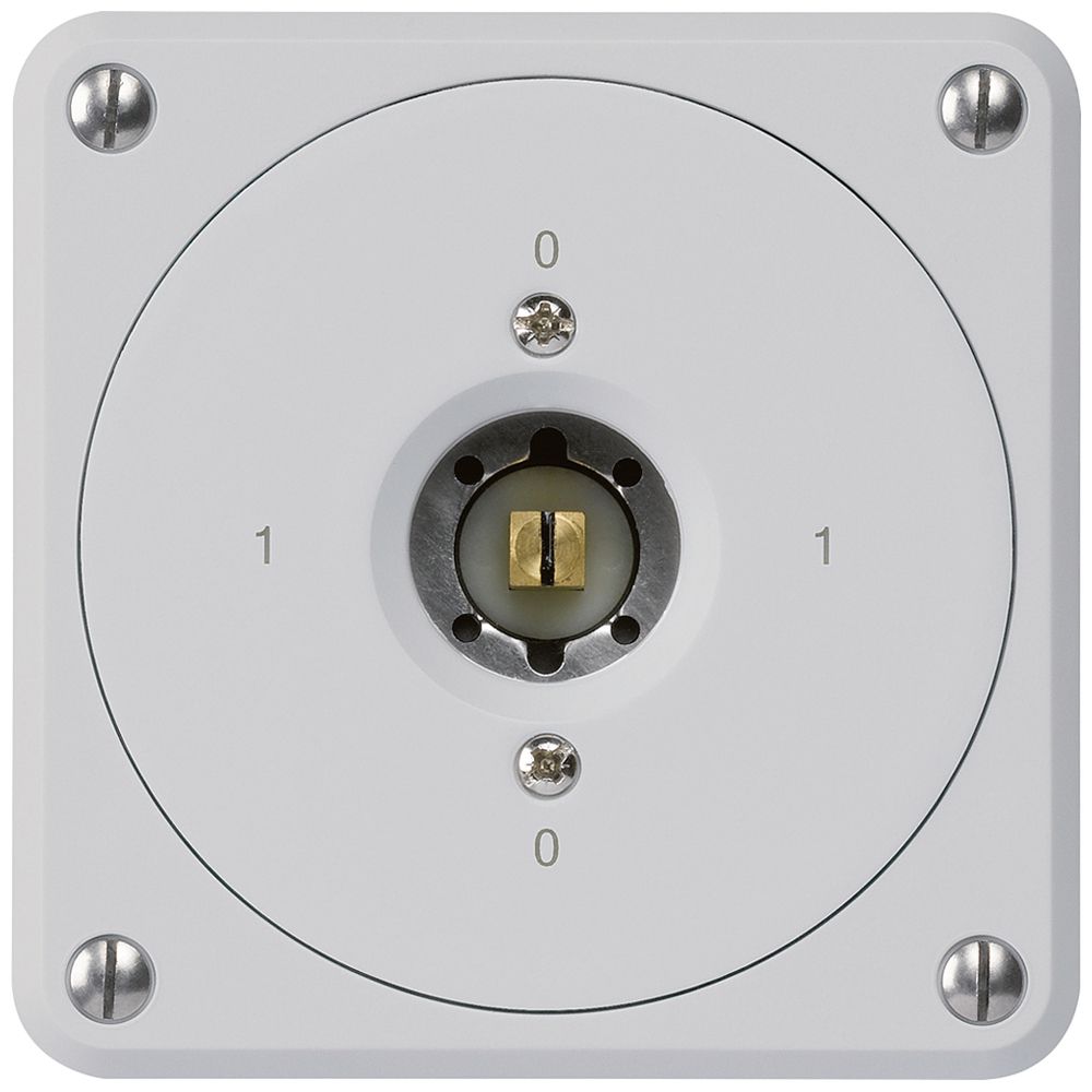 Interrupteur à clé carrée ENC robusto sans clapet 0/1P gris