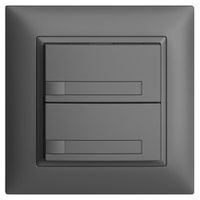 UP-KNX-Taster RGB EDUE FMI, 250mW, o.LED, m.Papier, 2×Taste, 1×Tastenb., dgu