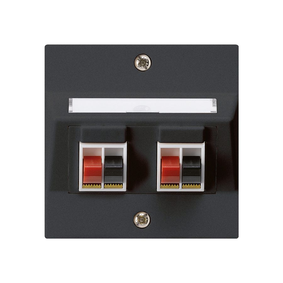 Prise ENC audio kallysto 2-fois noir borne à étrier pour 2 haut-parleurs