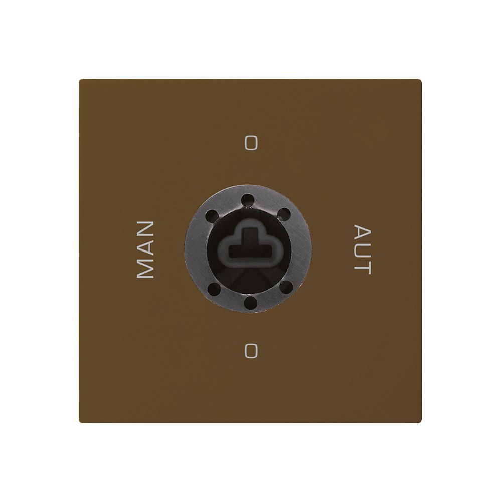 Intérieur interrupteur à clé 0-Man-0-Aut. brun kallysto 2/1P pour serrure