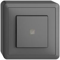 Interr. puls. lum. AP EDIZIOdue 3/1L grigio scuro, con lente, LED giallo