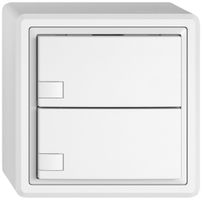 AP-Universaltaster EDIZIO.liv UNI SNAPFIX® 5…48V o.LED 2× 1-Tbed.ws