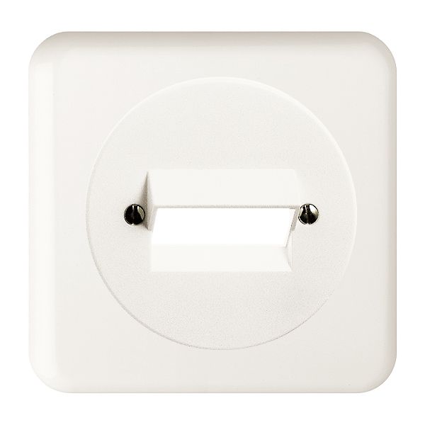 UP-Frontset FH 2×RJ45 weiss ITplus