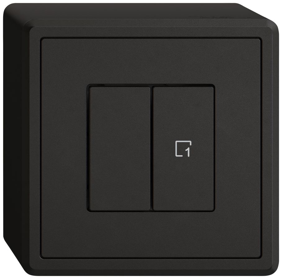 Station sec.interr.AP EDIZIO.liv Wiser SNAPFIX® 1 scène 2 touches WLAN no