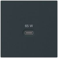 USB-Ladesteckdose Hager kallysto Typ C 65W 3250mA schwarz