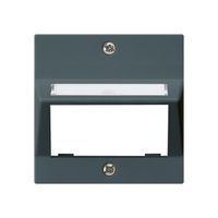 Plaque frontale kallysto pour module multimédia sortie oblique duroplast an