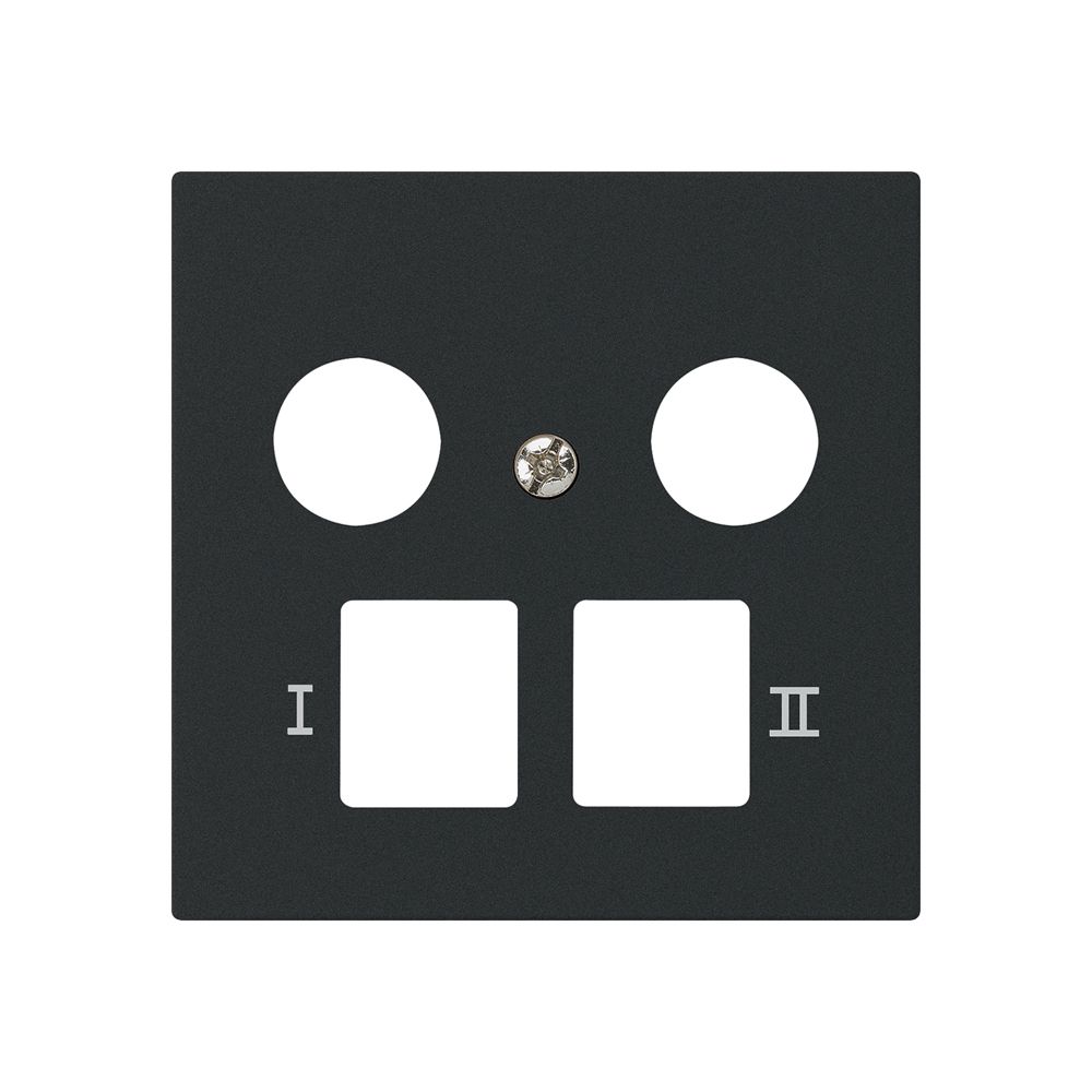 Plaque frontale kallysto pour R&M HWS noir 2 trous multimédia