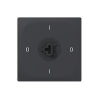 Interruttore rotativo INC SIDUS E 0/2L SS antracite