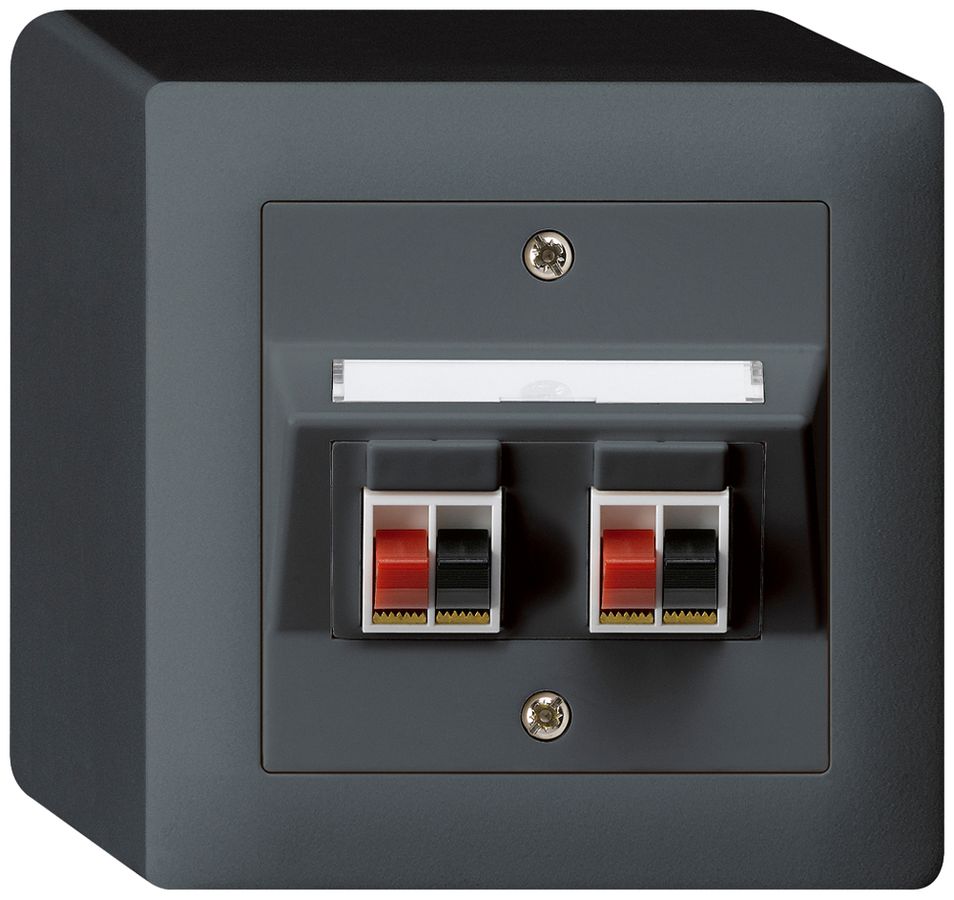 AP-Audiodose kallysto 2×anthrazit Klemmanschluss für 2 LS