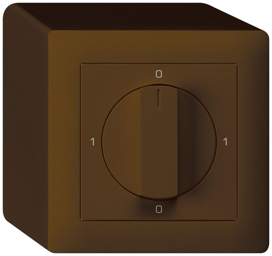 AP-Drehschalter kallysto 0/3L br mit Drehgriff