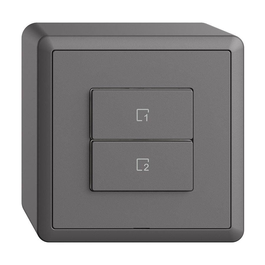 Pulsante scena AP 2 scene verticale/2T Edue Wiser grigio scuro