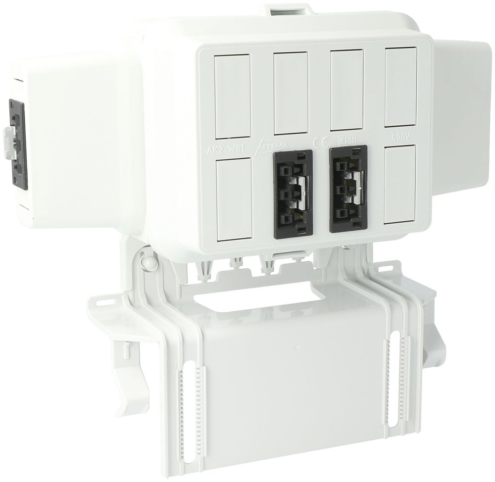 Boîtier AGRO, in: 3P no, out: 2×3P no L1, WAGO