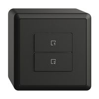 Pulsante scena AP 2 scene verticale/2T Edue Wiser nero