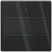 UP-Tastsensor Theben LUXORliving iON2 G LED Mit Beschriftungsfeld schwarz
