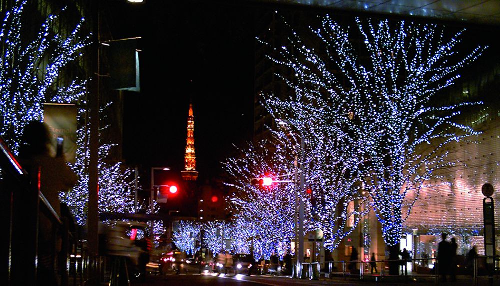 Lichterkette LED ELBRO 5m 50 LED warmweiss, Kabel schwarz, IP44