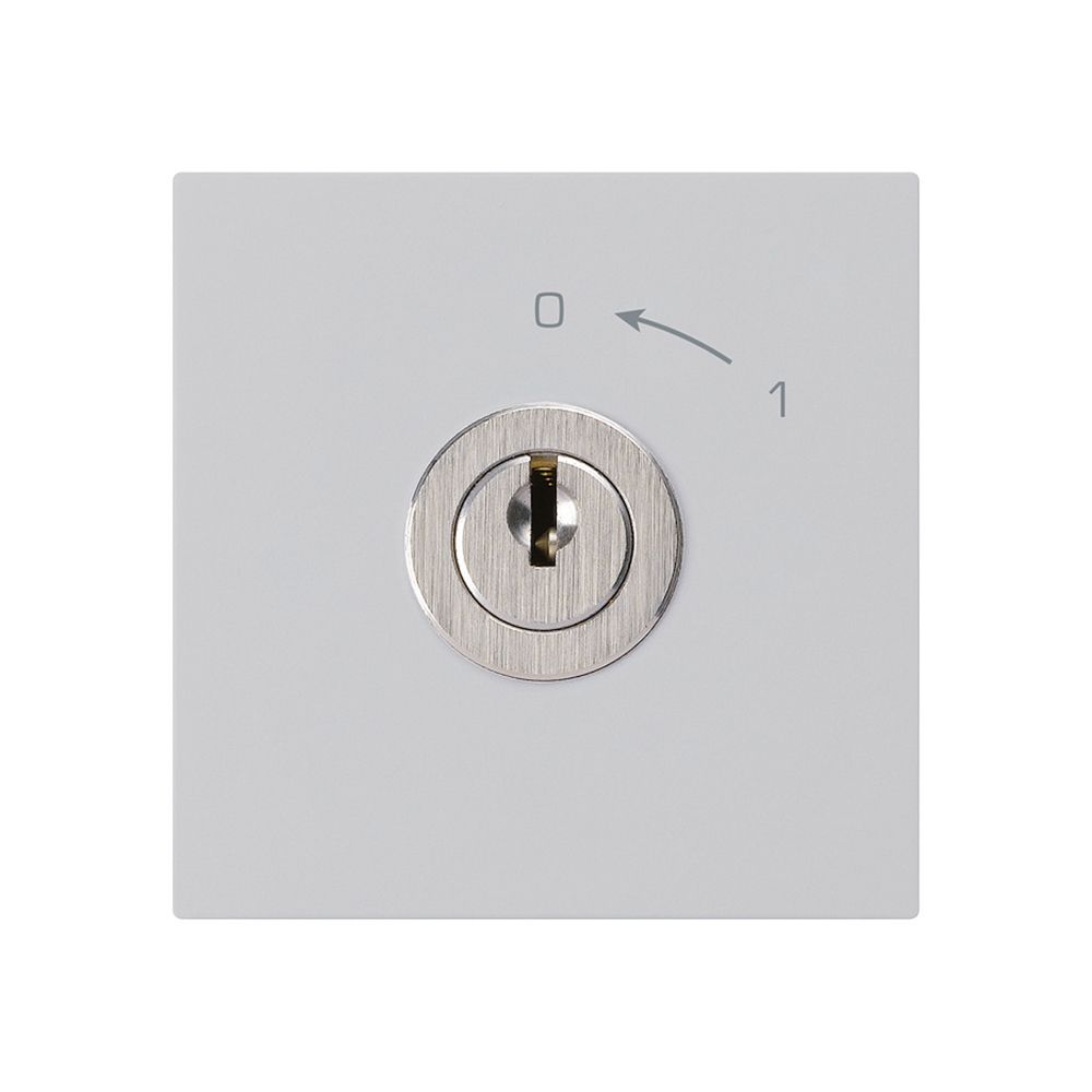 Schwenktaster 0<-1/1L hellgrau kallysto mit Schloss Kaba 8