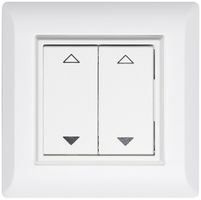 AP-RF-Taster ALADIN EnOcean kallysto.line, 2-fach, weiss, V/Λ