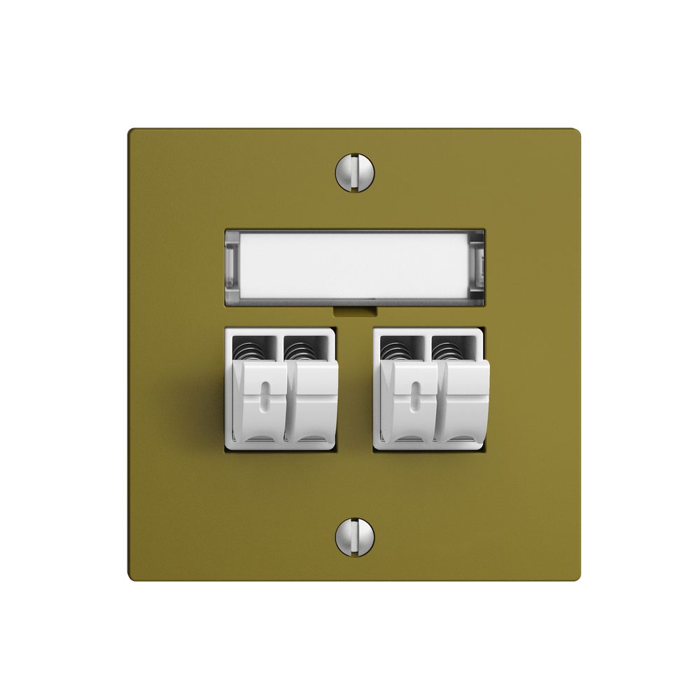 Audiodose Push Type EDIZIOdue F, 2×, Beschriftungsset, olive