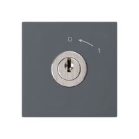 Schwenktaster 0<-1/1L anthrazit kallysto mit Schloss Kaba 8