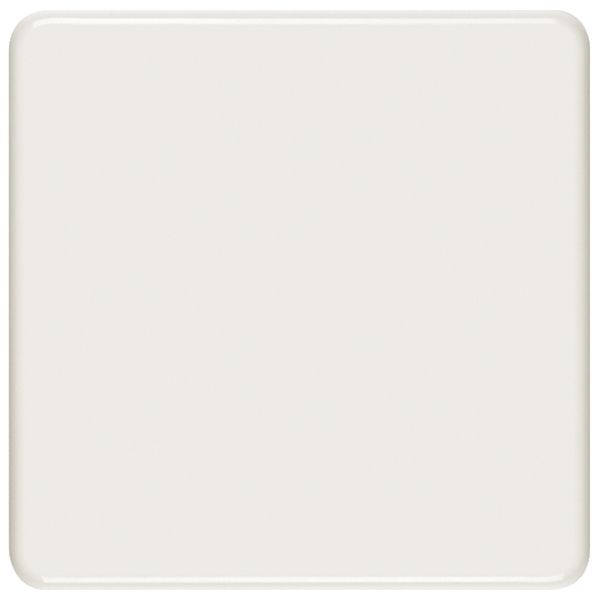 Abdeckplatte II blind weiss