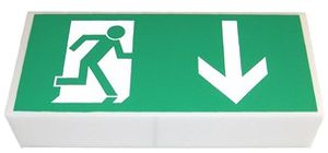 Notleuchte CF 8W SE 1h