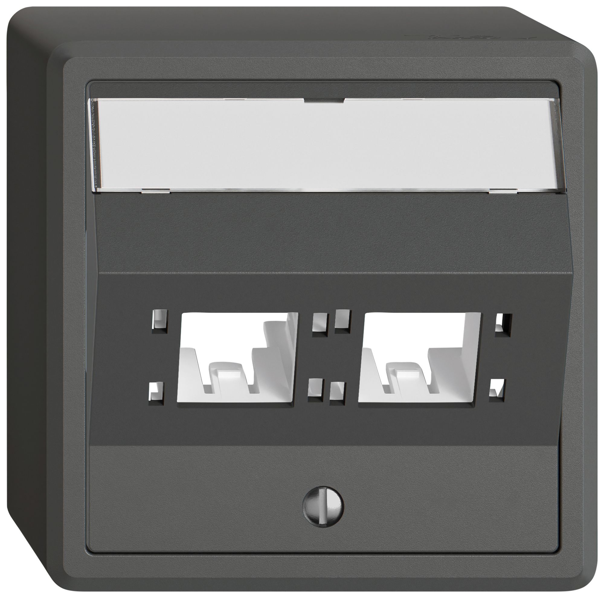 Kit di montaggio AP EDIZIO.liv SNAPFIX® per freenet cat.6A adattatore 2× grs