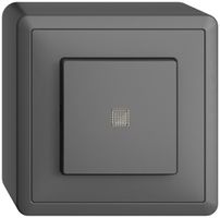 Interr. puls. lum. AP EDIZIOdue 3/1L grigio scuro, con lente, LED giallo