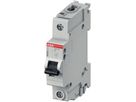 Disjoncteur SMISSLINE CLASSIC 1×6 D 10kA
