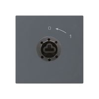 SchwenkTaster 0<-1/2L anthrazit kallysto für Schloss ohne Zylind