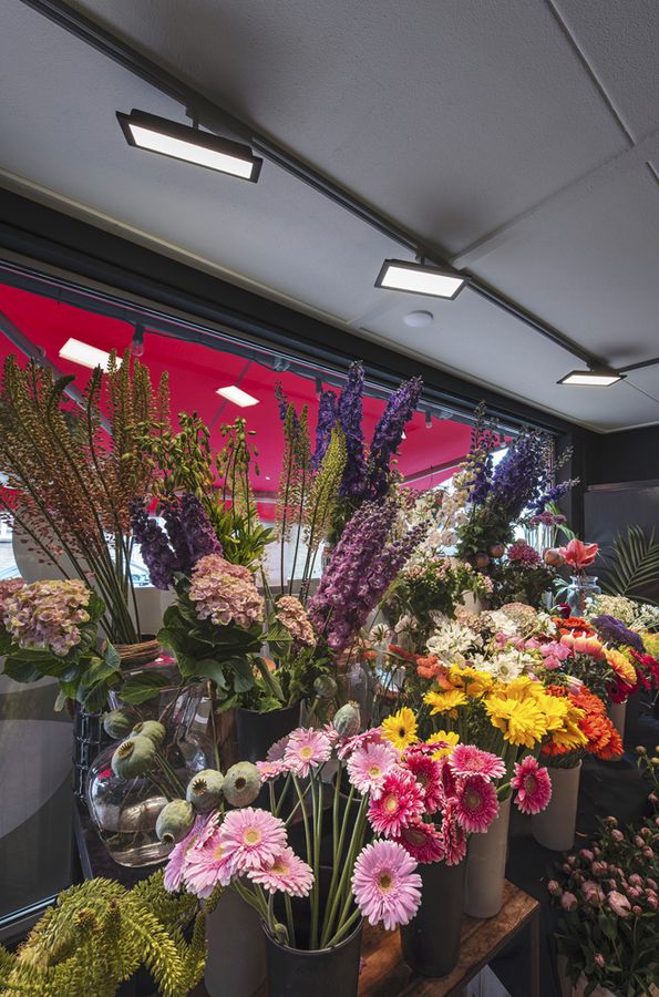 LED-Leuchte SLV PANEL TRACK square 18W 1800lm 3000K Adapter 1 Phase schwarz