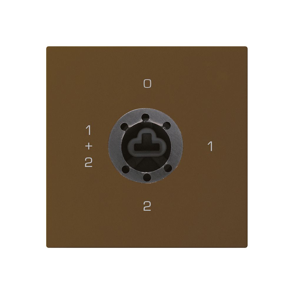 Intérieur interrupteur à clé kallysto 1/1L brun p.serrure de sûreté s.cylindre