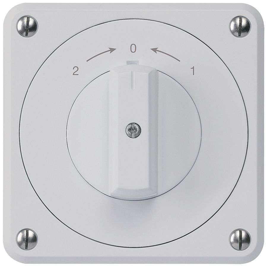 UP-Schwenktaster robusto IP55 grau Wechsler