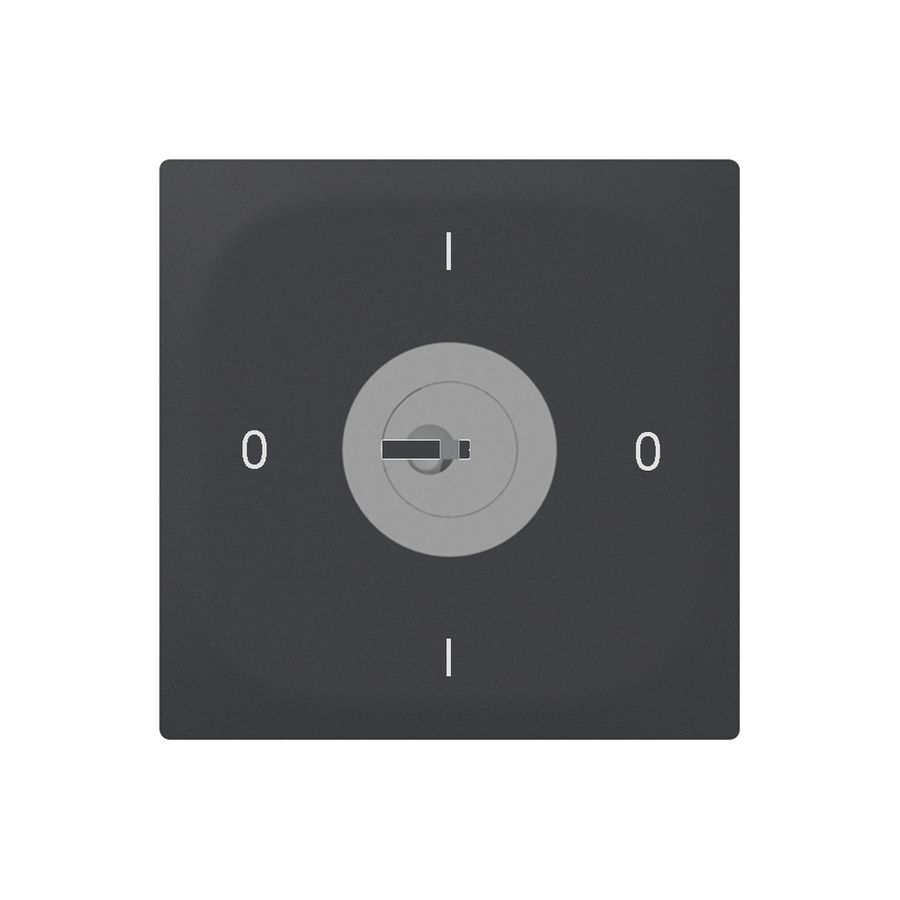 Interruttore rotativo INC SIDUS E 0/2L SS antracite