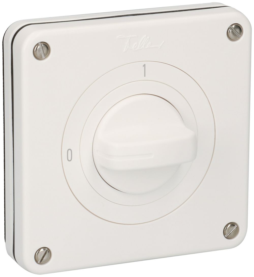 Interrupteur ENC NEVO, 20A, 2P, 87×87mm, 90°, 0-1, blanc