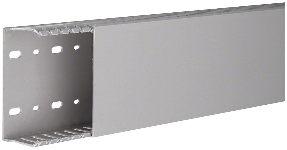 Verdrahtungskanal Tehalit DNG 50×100 grau